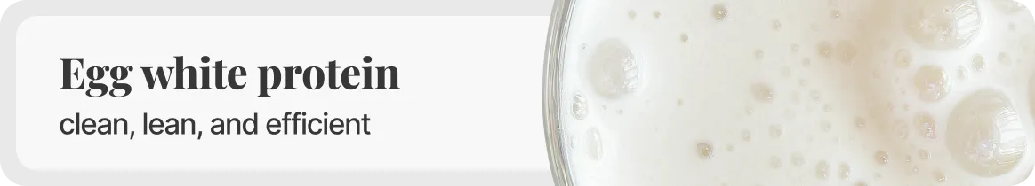 Egg white protein powder for weight loss - dairy-free high protein supplement for muscle building