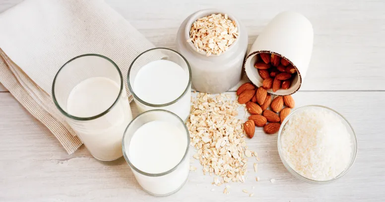 Plant-based milk alternatives - almond, soy, oat, and coconut milk options for dairy-free nutrition