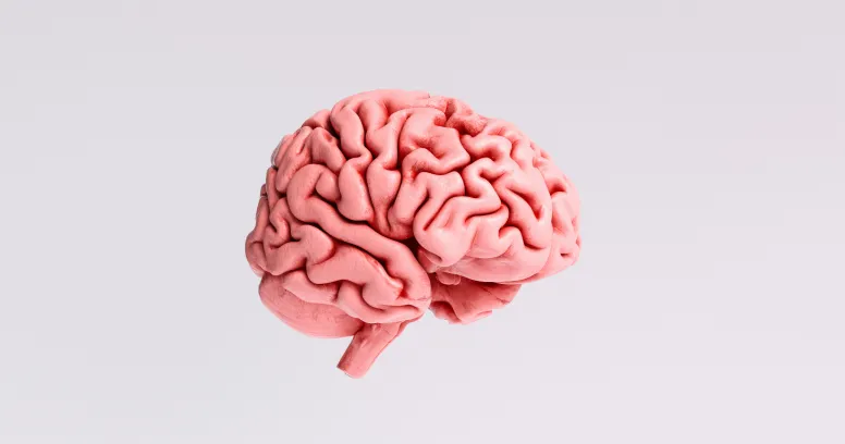 MIND diet healthy foods including leafy greens berries whole grains nuts fish and olive oil for brain health