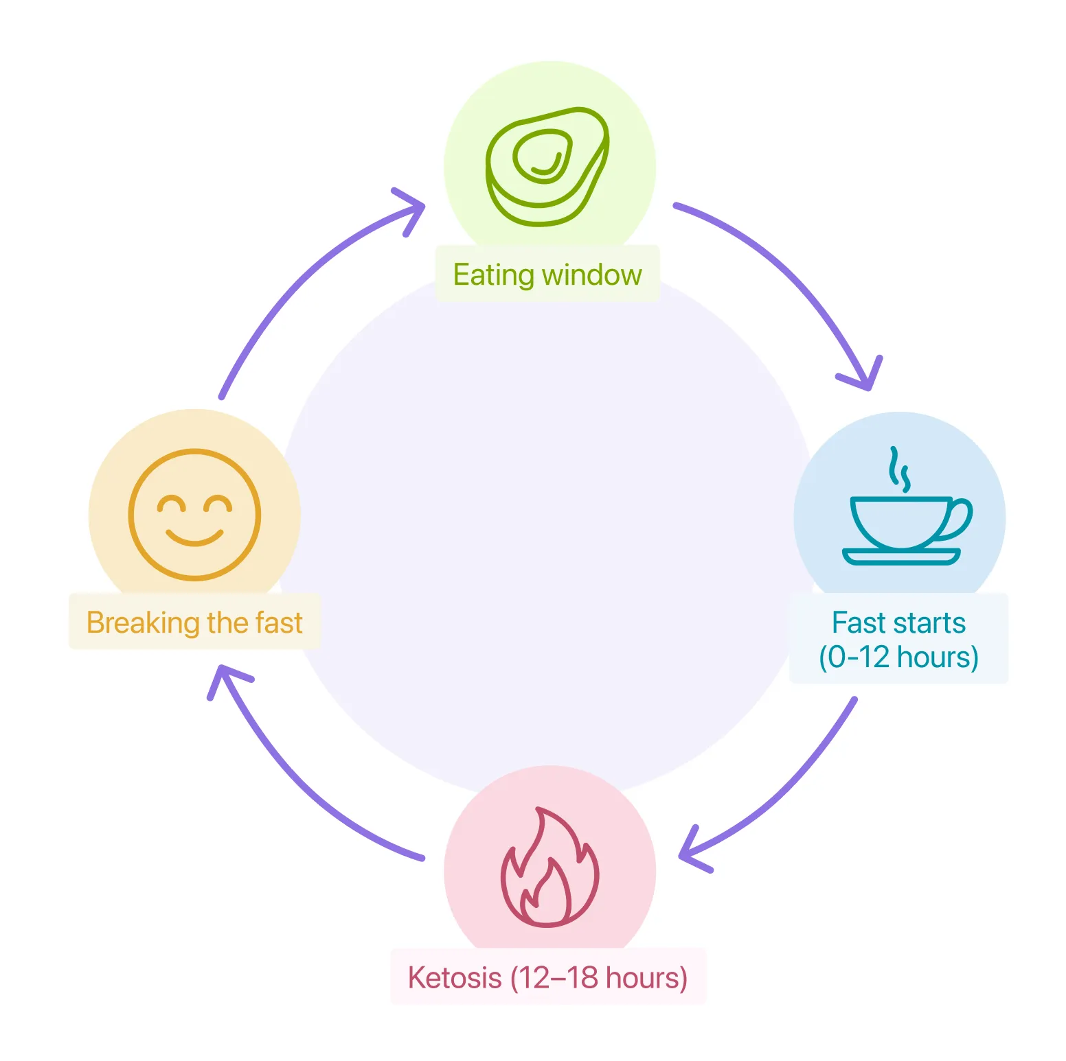 Intermittent fasting stages timeline infographic showing insulin glycogen depletion and ketosis phases
